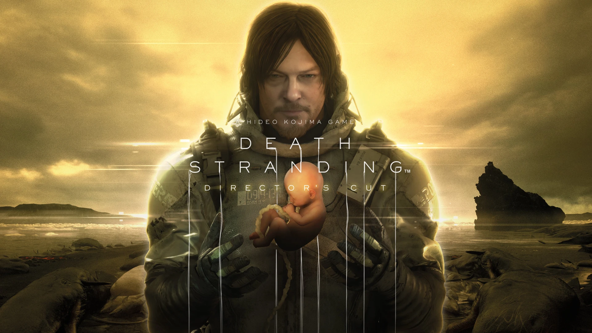 Death Stranding Director's Cut - Steam Offline