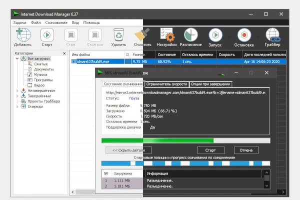 Internet Download Manager 6.42.25 - Outros