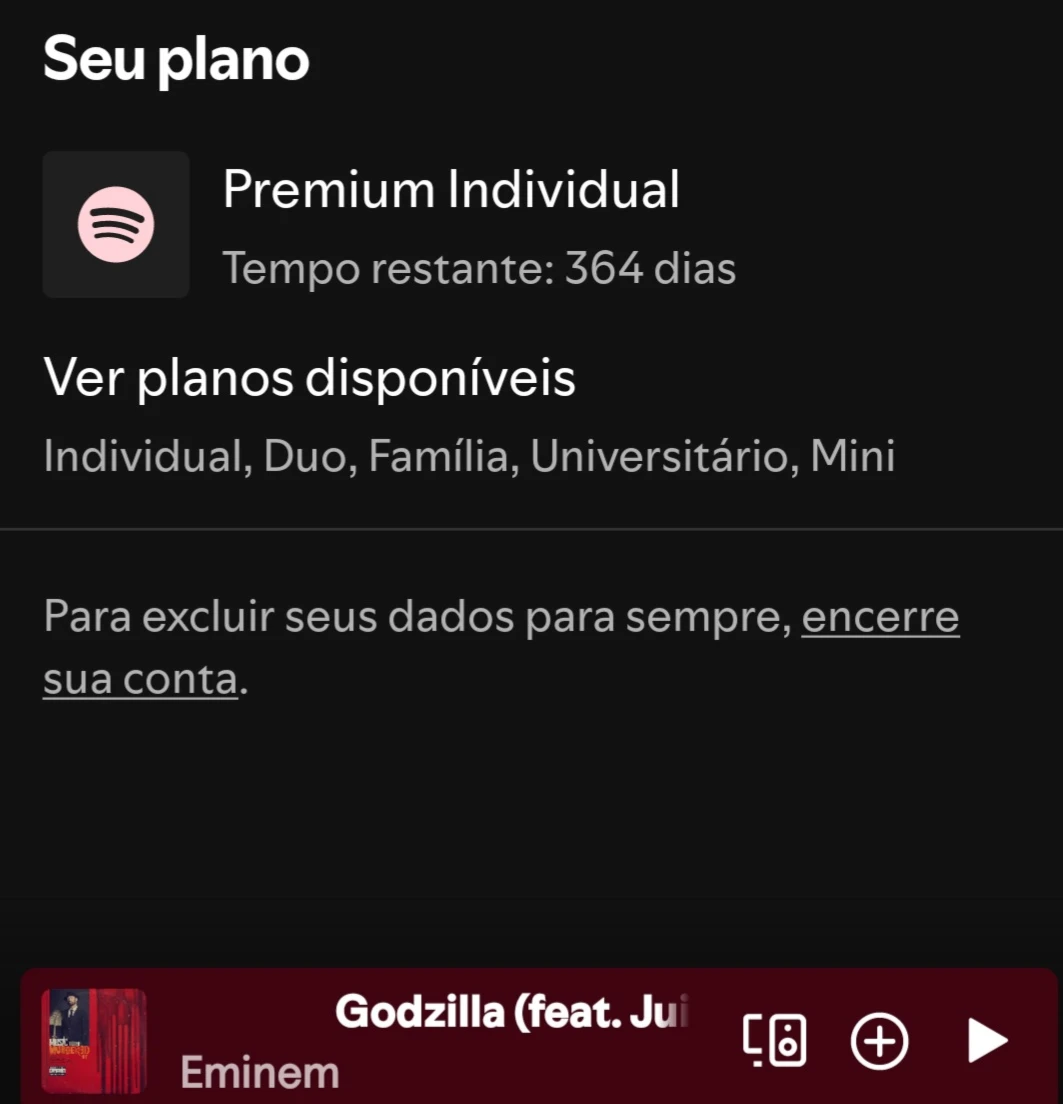 Conta spotify 1 ano - Premium