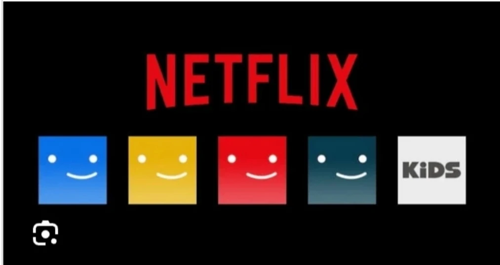 Tela  Netflix privada - Premium