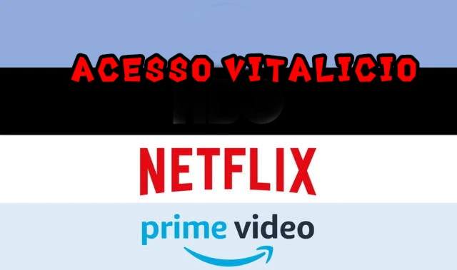 🟢Envio imediato🚀NetFlix+Prime Vídeo vitalicio - Outros