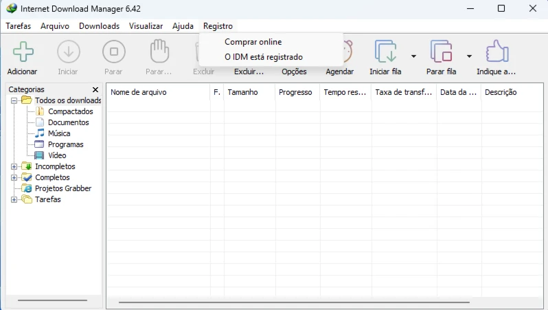 Internet Download Manager 6.42.27 - Others