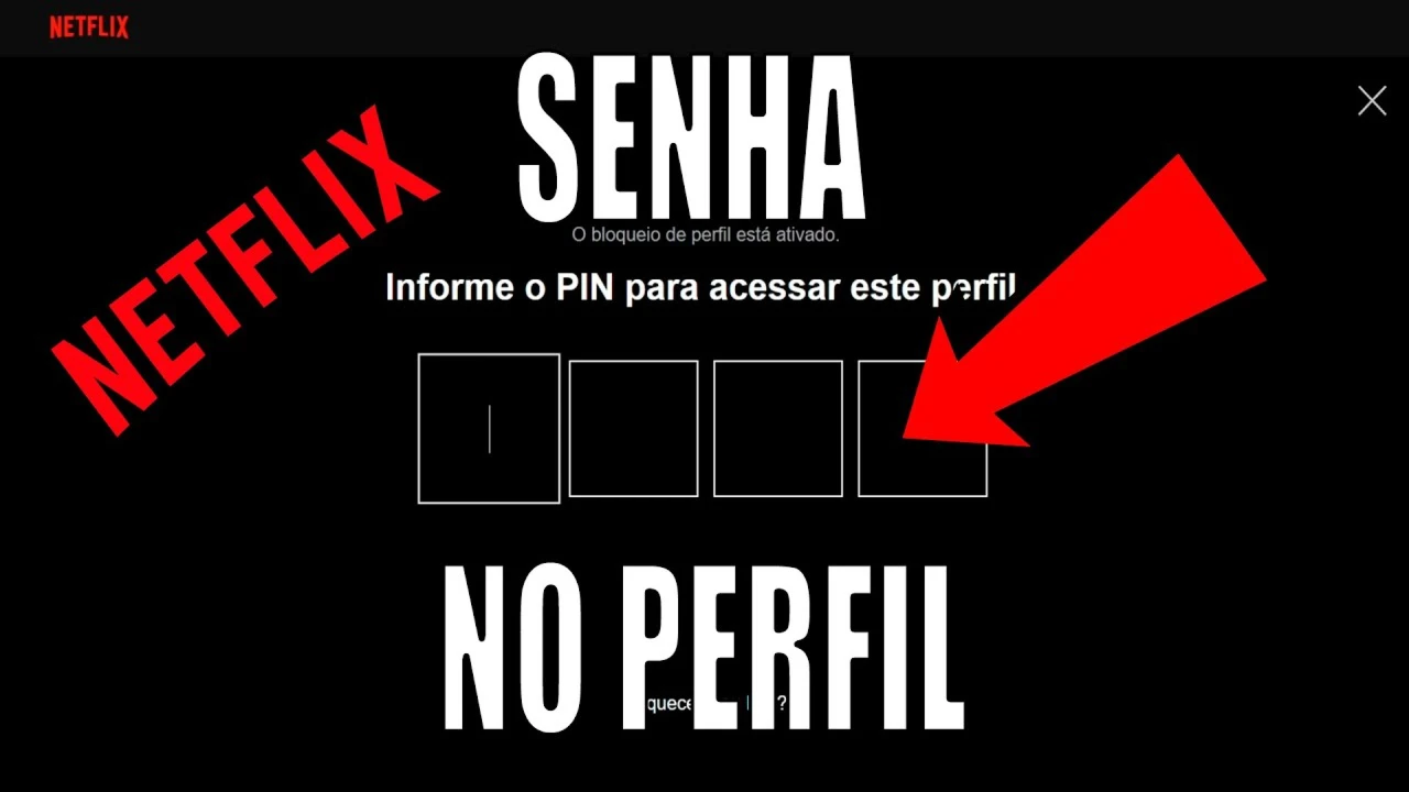 Netflix - Assinaturas e Premium