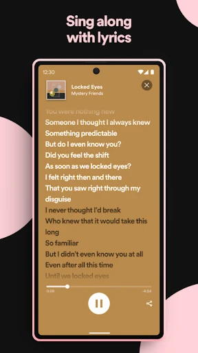 Spotify Licença PREMIER - Softwares and Licenses