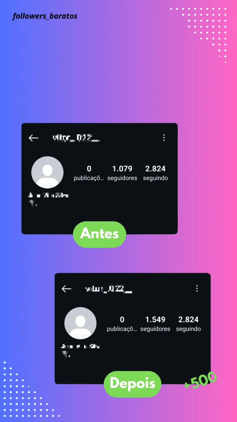 Seguidores Do Instagram - Redes Sociais