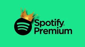 Spotify Premium Vitalício ( Entrega Imediata ) - Assinaturas e Premium