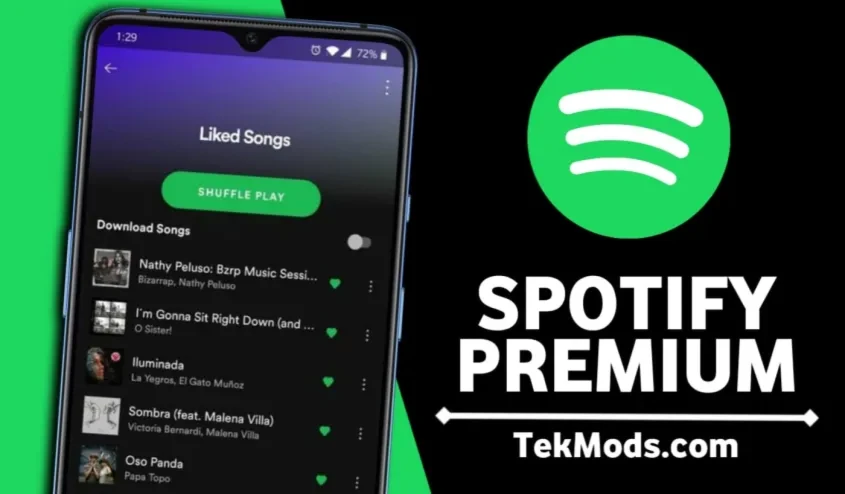 Spotify Premium - Others