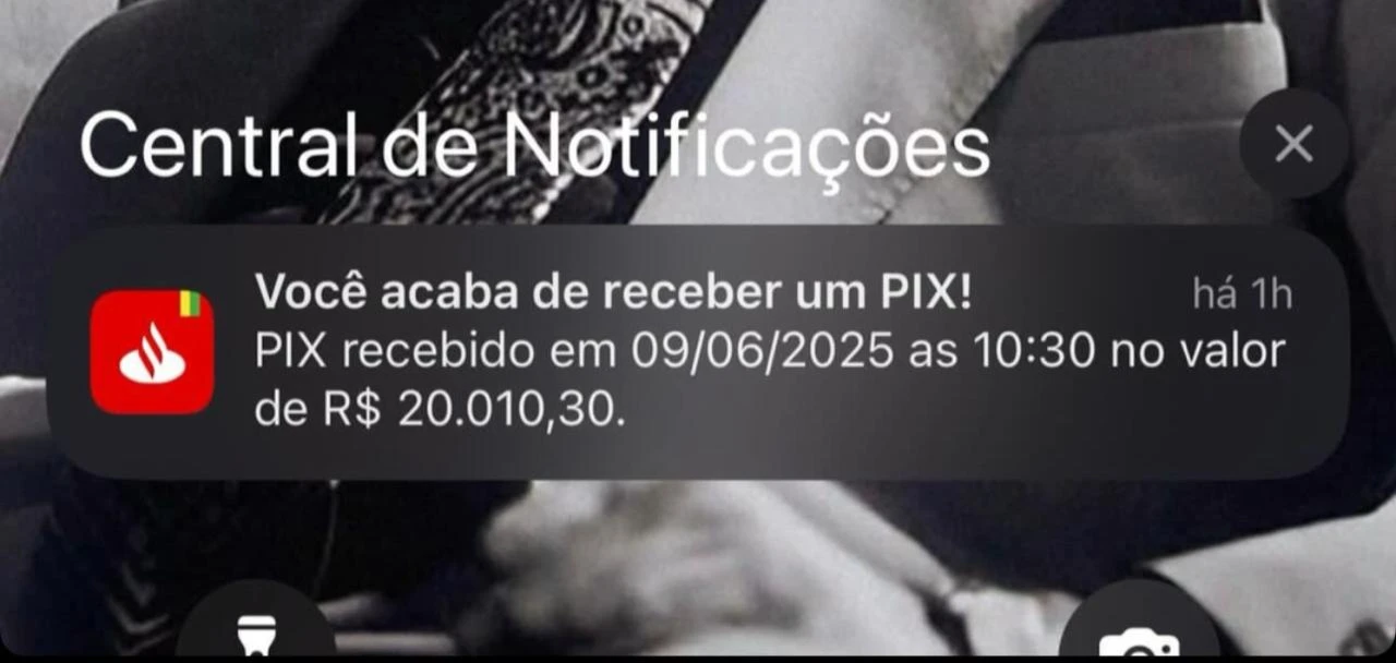 Mega Pack De Plrs, Arquivos E Treinamento Para Fazer 10K Mês - Outros