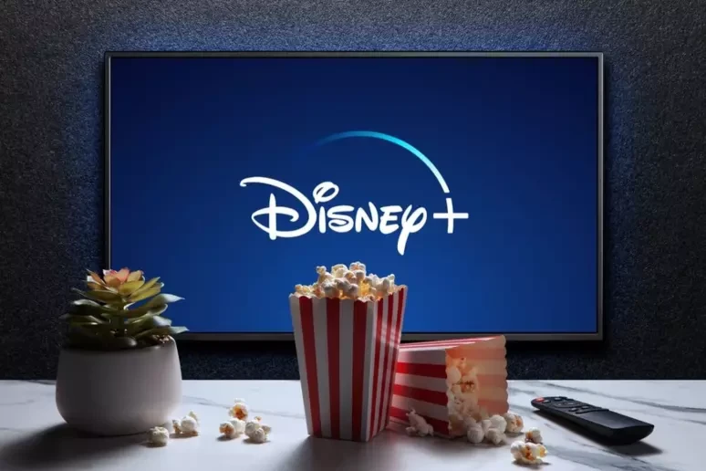 Disney - Tela Privada Só Sua Por 30 Dias - Premium
