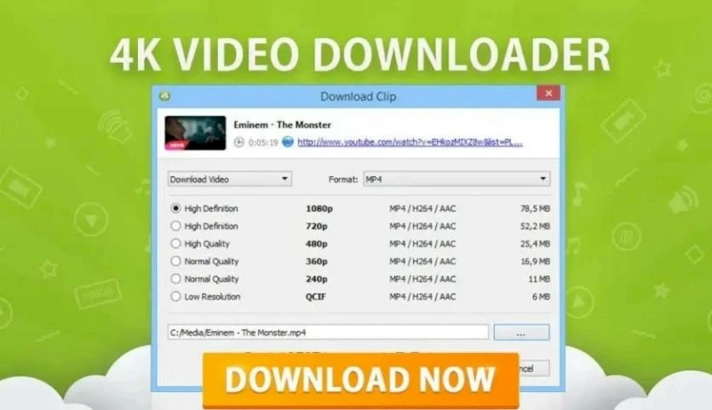 4K Video Downloader Premium Vitalicio - Softwares and Licenses