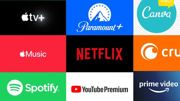 Tela Netflix - Assinaturas e Premium