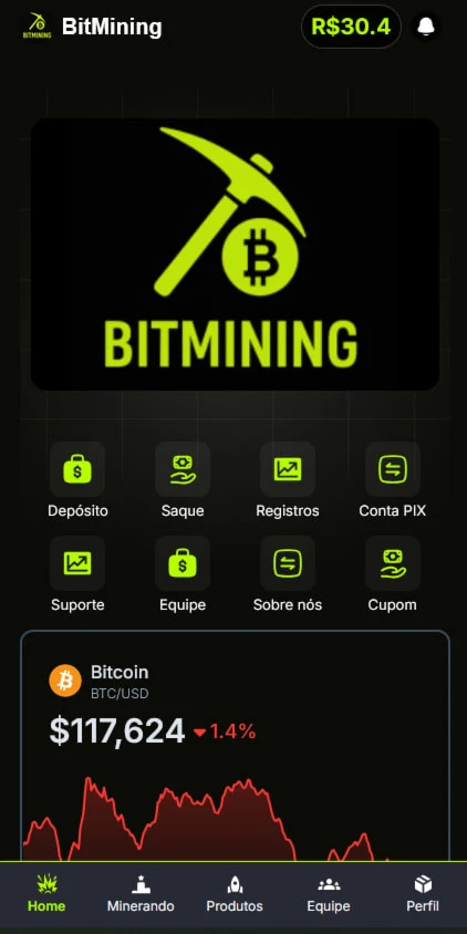 Site de Investimento BIT MINING - Softwares and Licenses