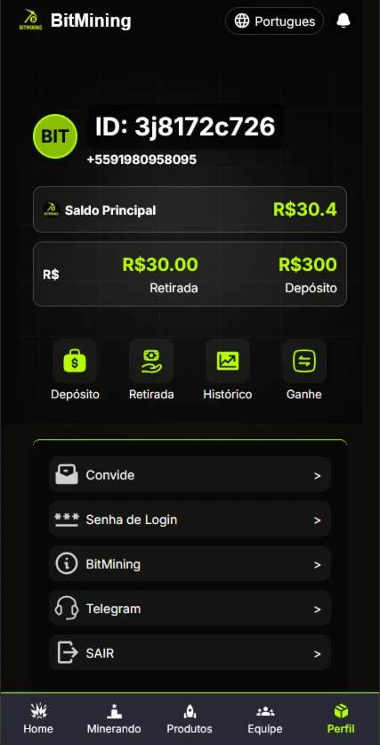 Site de Investimento BIT MINING - Softwares and Licenses