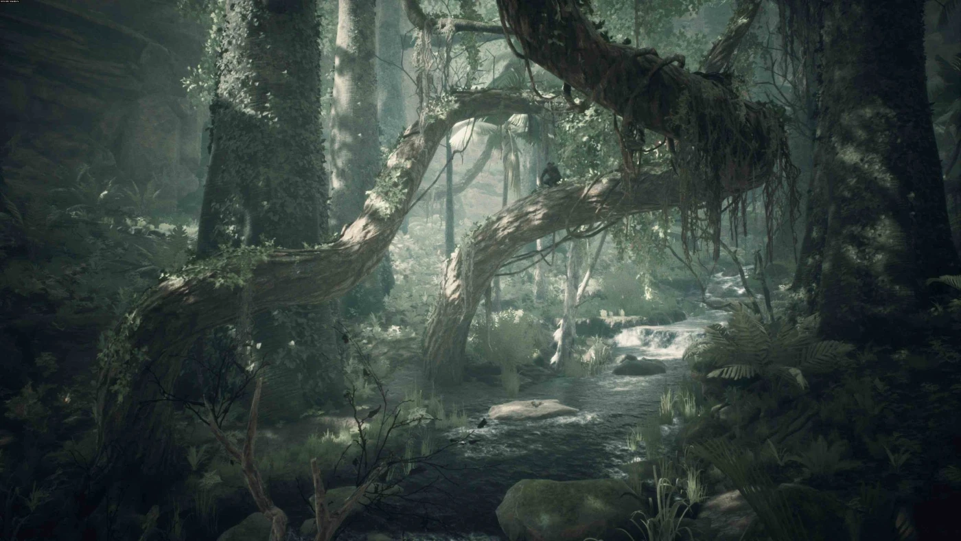 Xbox Ancestors: The Humankind Odyssey #C67422