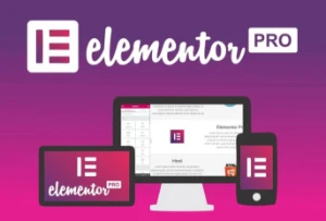 Elementor Pro, Plugin Criador de Site mais Mega Pack de site