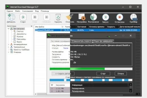 Internet Download Manager 6.42.25 - Outros