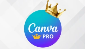 Pack canva vitalício - Others