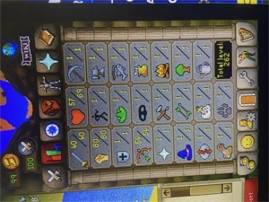 Conta runescape OSRS pure lvl 80 STR, 54 RNG