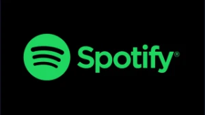 Spotify Premium (1 month)