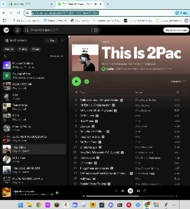 Spotify - Baixador de Playlist e Musicas - Softwares and Licenses