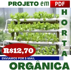 Projeto Horta Organica E Hidroponica Quintal De Casa P Email - eBooks
