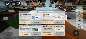 🎮 Conta Roblox Premium – Brookhaven Completa 💎