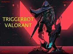 Valorant | Trigger Bot | 100% Antban
