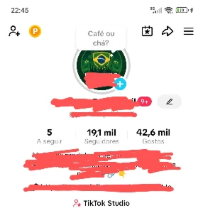 Conta Tiktok monetizada pro Brasil