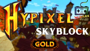 100M Coin Hypixel Skyblock - Minecraft