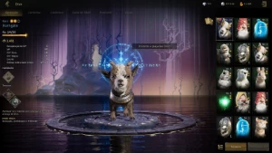 Conta legend of ymir lvl 32 mage 39k + 800 Diamante - Others