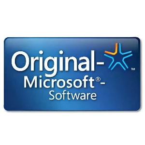 Office 365 Licença Vitalícia - 05 Dispositivos - Outros