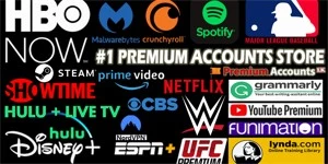 Acesso ao gerador Crunchyroll, Minecraft etc... (1 SEMANA) - Assinaturas e Premium