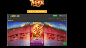 Hacker tigre app