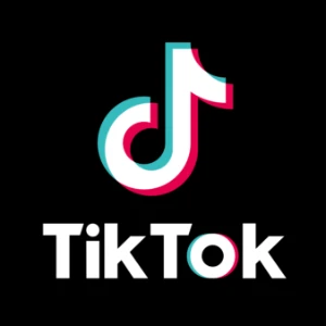 Tik Tok (TIKTOK) account + Email access + FAST DELIVERY