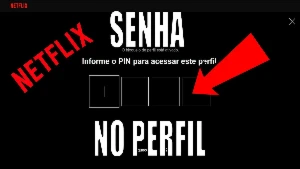 Netflix - Assinaturas e Premium