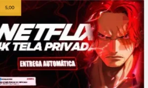 Netflix - Assinaturas e Premium