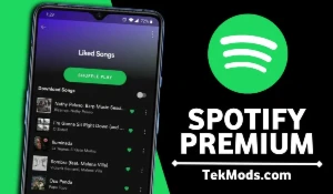 Spotify Premium - Others