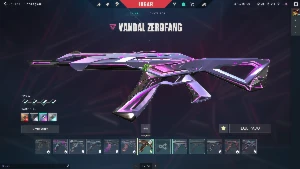 Conta Valorant Com Mais De 350 Reais Gastos