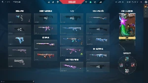 Conta Valorant Com Mais De 350 Reais Gastos