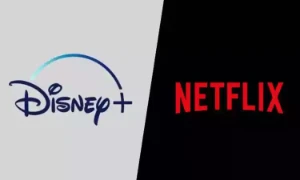 Netflix Privada 4K + Disney Privada 4K 30 DIAS