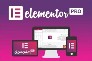 Elementor Pro WordPress Page Builder - Outros