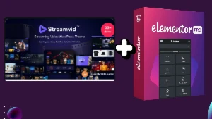 StreamVid - Template Estilo Netflix + Plugin Elementor Pro - - Others