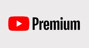 Youtube Premium / Amazon Prime / Canva Pro