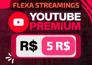 Youtube Premium (1 mês)
