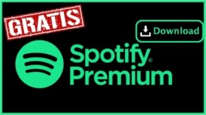 SPOTIFY PREMIUM VITALÍCIO 🔥🔥 - Assinaturas e Premium