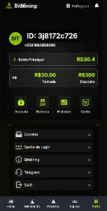 Site de Investimento BIT MINING - Softwares and Licenses