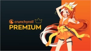 CRUNCHYROLL PREMIUM ASSINATURA VITALÍCIA CONTA COMPARTILHADA - Assinaturas e Premium