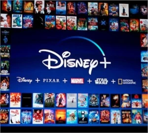 Disney plus - Licença vitalícia - Assinaturas e Premium