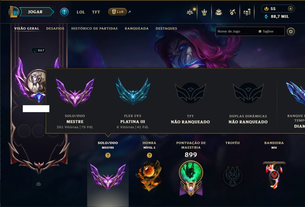Mestre com TODOS os Champs e 238 Skins ( SUP / ADC )