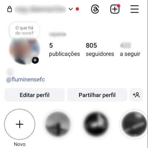 Conta de instagram feminina fake, desde 2021 ativa!